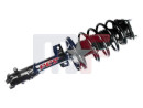 Suspension strut complete 11-14 Ford Mustang left or right