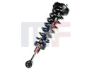 Suspension strut complete 04-08 F-150 4WD front left or right