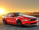 Mustang 13-14