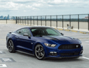 Mustang 17-18