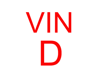 8th digit of the V.I.N. D